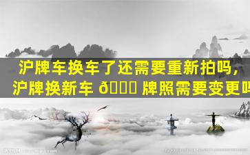 沪牌车换车了还需要重新拍吗,沪牌换新车 🐋 牌照需要变更吗